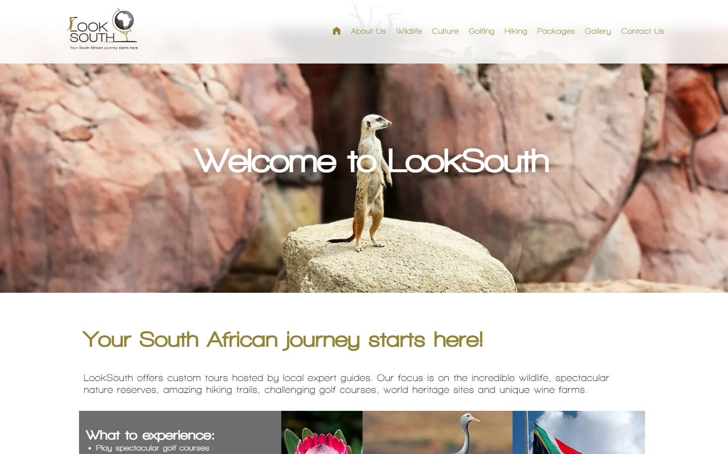 The LookSouth website, built on core_site